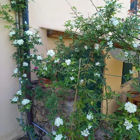 Daire La Bellana