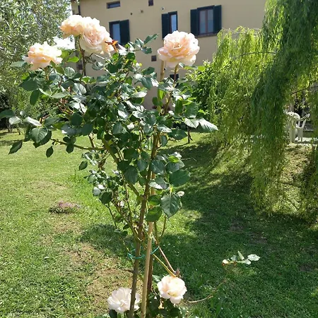La Bellana *